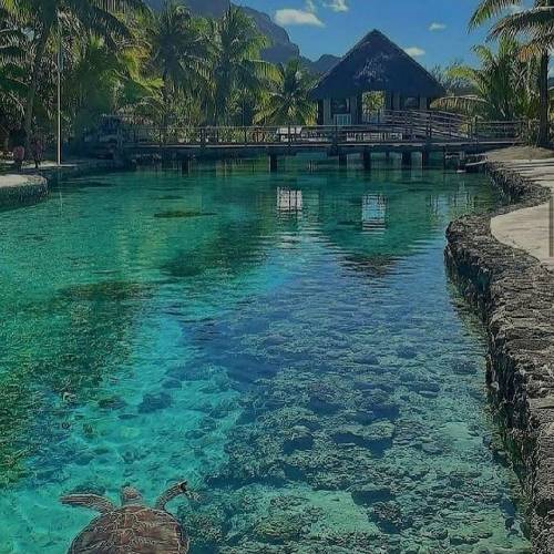 ایمان توحیدی چاو له بینان دگرینم له یاره له یاره هواله